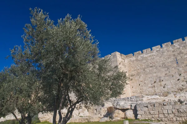 Jerozolimy mur — Zdjęcie stockowe