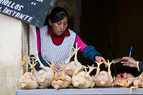 Stock image Peruvian woman