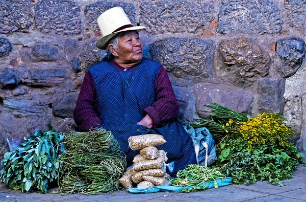 Peruvian woman — Stock Photo, Image