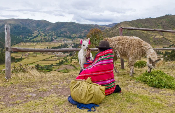 Peruanska kvinnan — Stockfoto