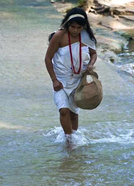 stock image Indian woman