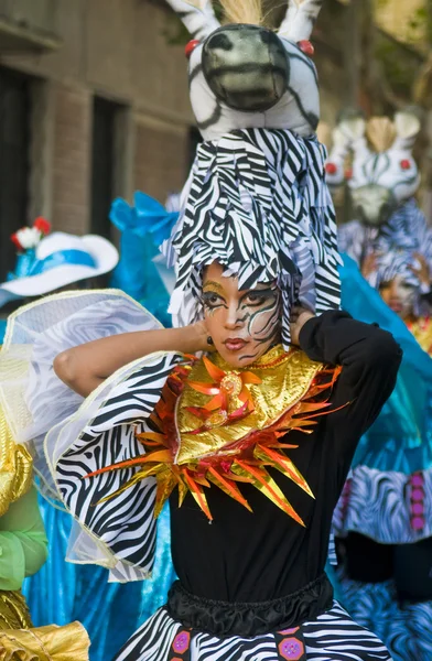 Karneval i Montevideo - Stock-foto