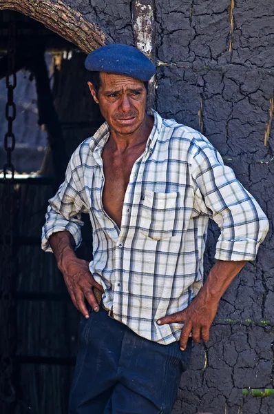 Gaucho festival — Stock fotografie