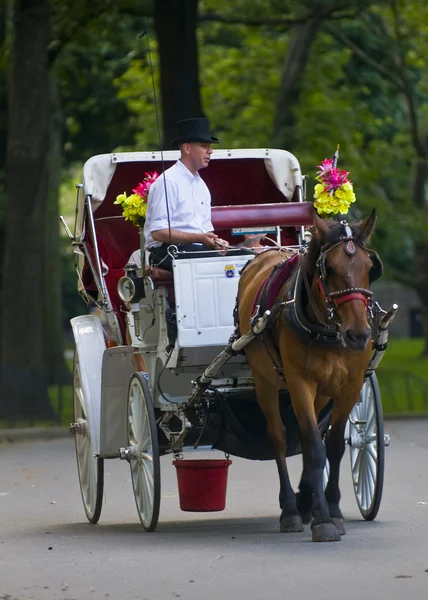 stock image Central park