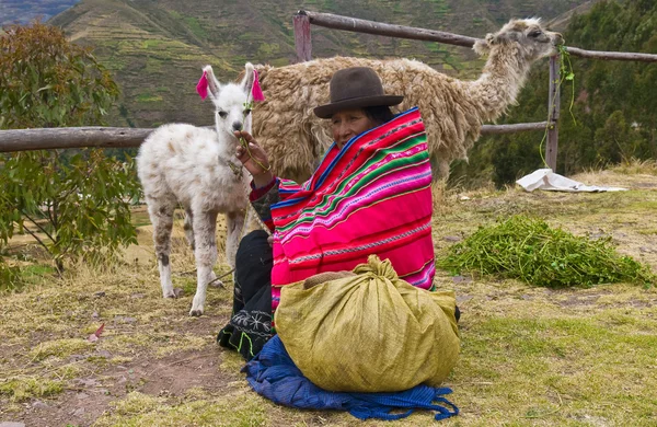 ペルーの女性 ストック画像