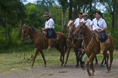 Gaucho Festivali