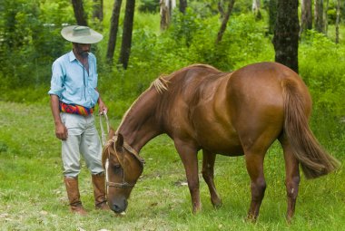 Gaucho Festivali