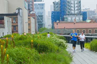 High line park in New York clipart