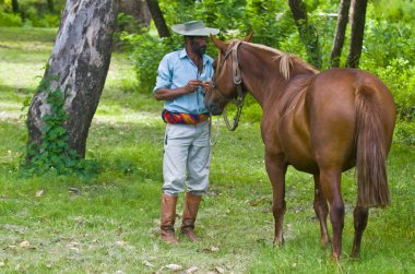 Gaucho Festivali