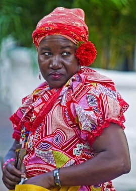 Palenquera fruit seller clipart