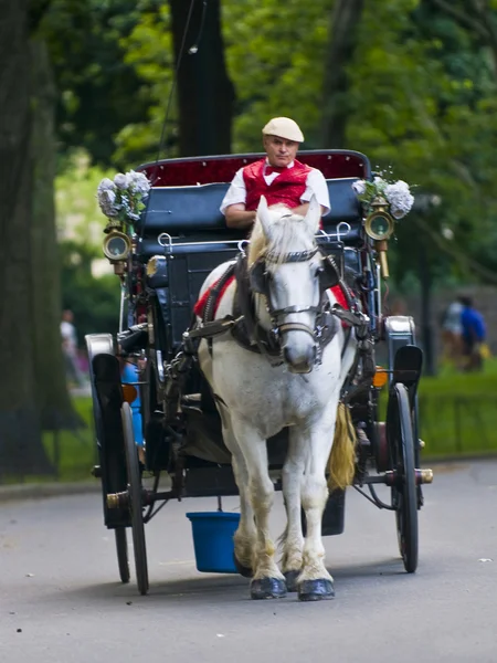 stock image Central park