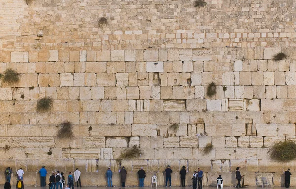 The Western wall — Stock Photo, Image