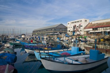 Jaffa bağlantı noktası