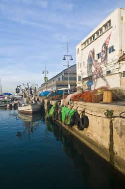 Jaffa bağlantı noktası