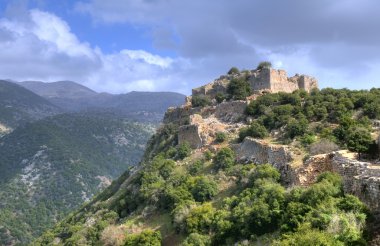 Nimrod kale