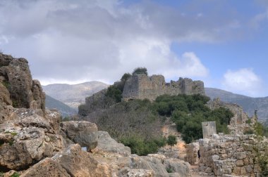 Nimrod kale