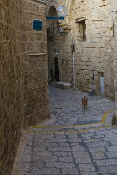 Viejo Jaffa. — Foto de Stock