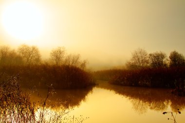 Fog on the lagoon clipart