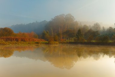 Fog on the lagoon clipart