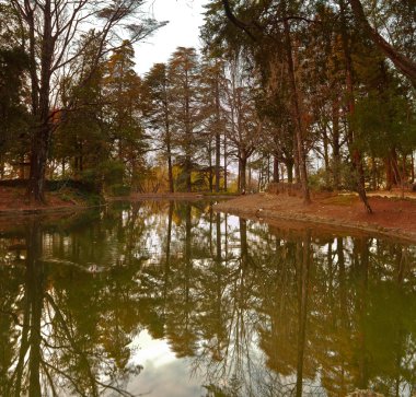 Şehir Parkı