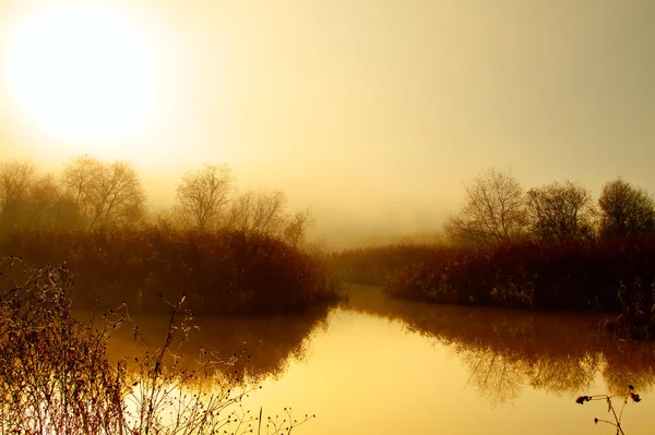 stock image Fog on the lagoon