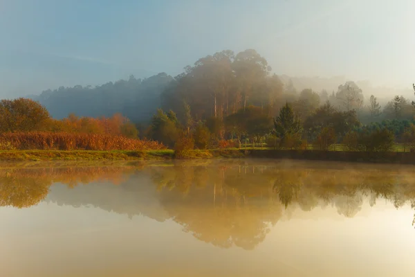 stock image Fog on the lagoon