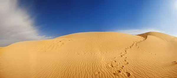 Dune de nisip în Sahara — Fotografie, imagine de stoc