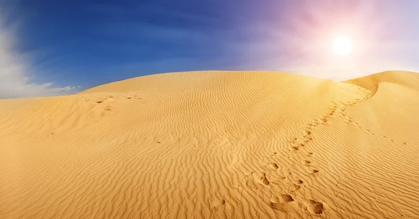 Піщані дюни в Сахарі — стокове фото