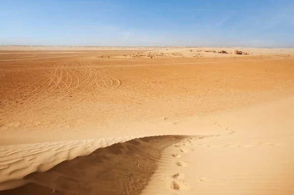 Sand dunes in Sahara — Stock Photo, Image