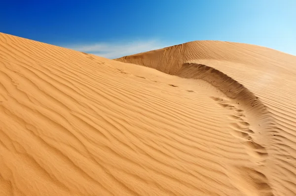 Піщані дюни в Сахарі — стокове фото