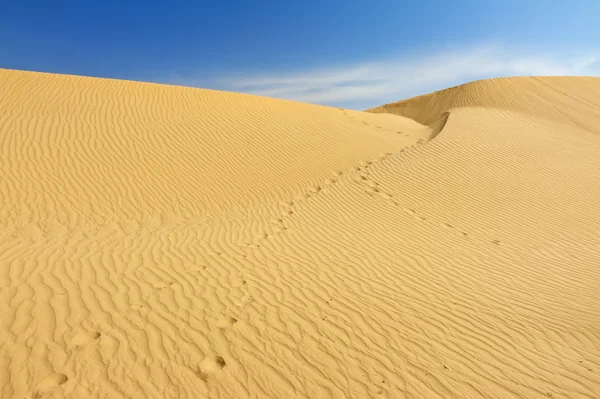 Sanddünen in der Sahara — Stockfoto