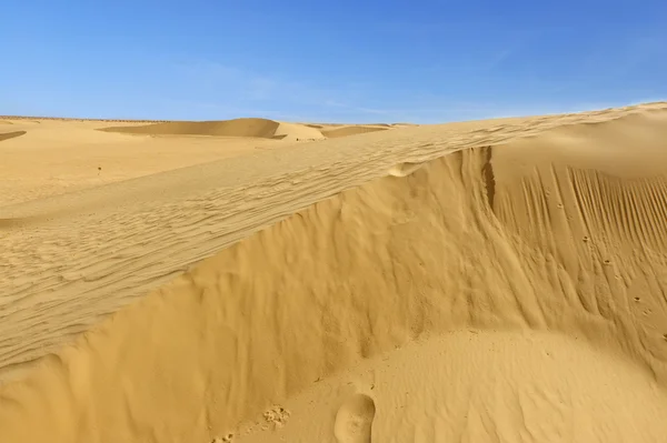 サハラの砂丘 — ストック写真