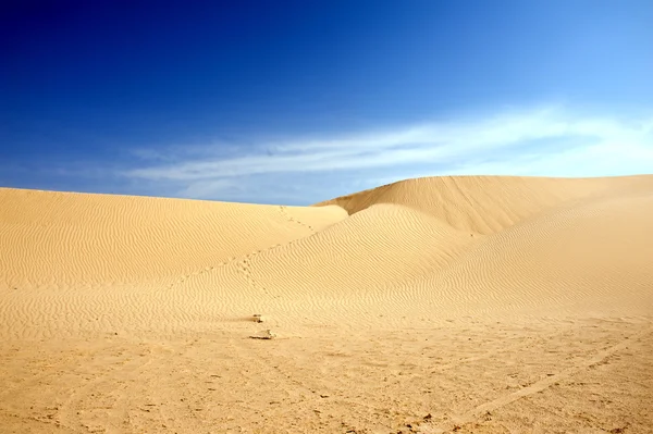 Dunes de sable au Sahara — Photo