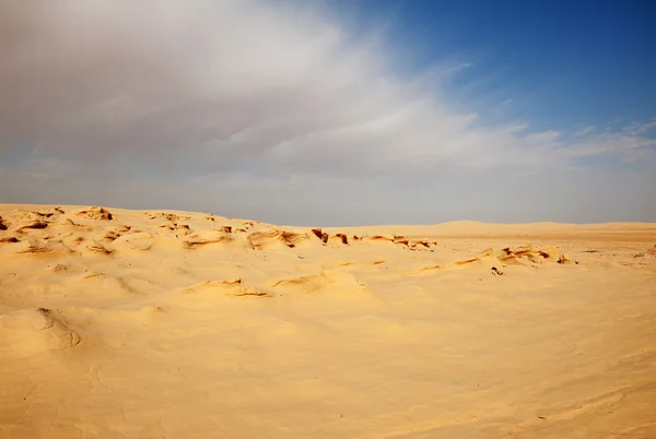 Sand dunes in Sahara — Stock Photo, Image