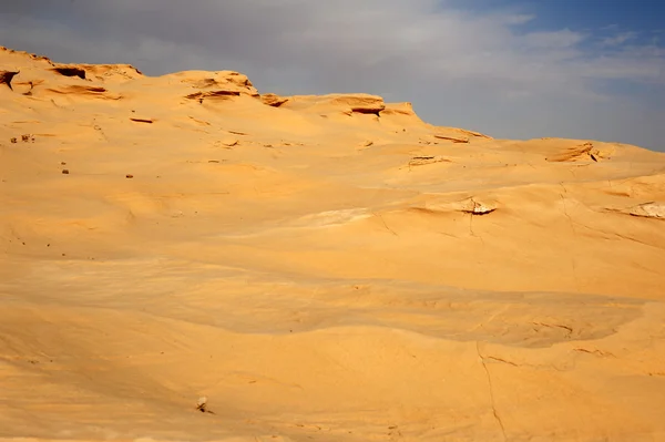在撒哈拉沙漠的沙丘 — 图库照片