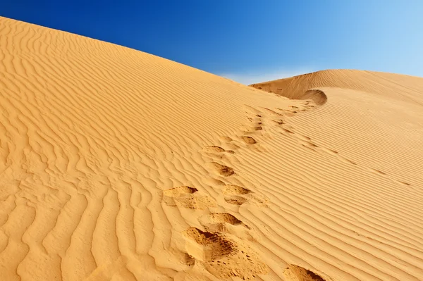 Dunas de areia em Sahara — Fotografia de Stock