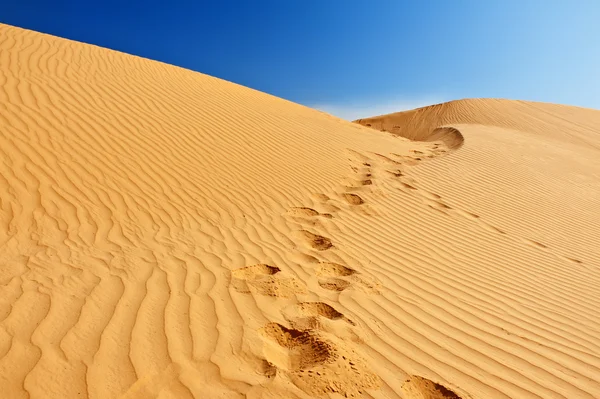 Sand dunes in Sahara — Stock Photo, Image