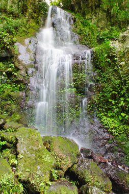 Takachiho şelale