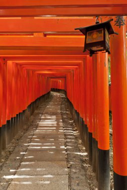 Fushimi Inari Taisha ünlü shinto türbesi