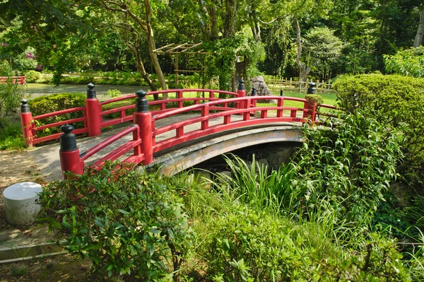 美丽的日本花园 — 图库照片