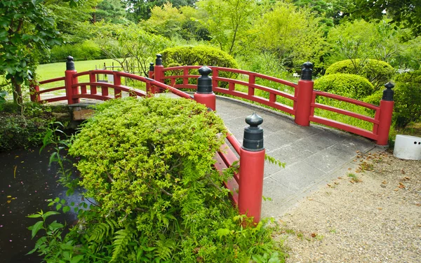 Hermoso jardín japonés — Foto de Stock