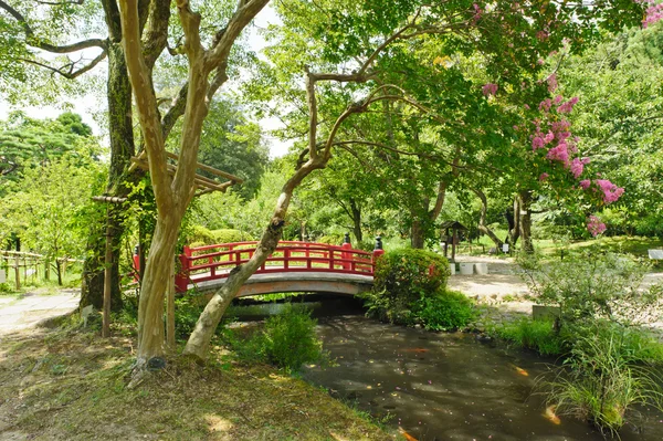 Piękny ogród japoński — Zdjęcie stockowe
