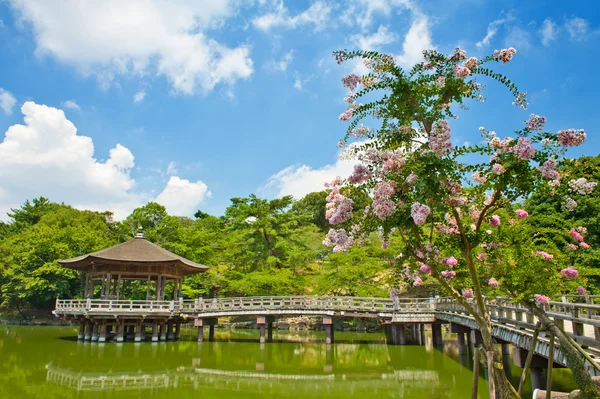 Альтанка у Nara — стокове фото