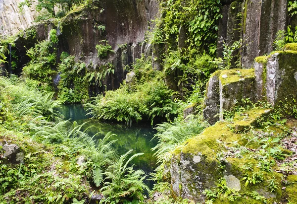 Takachiho ущелині — стокове фото