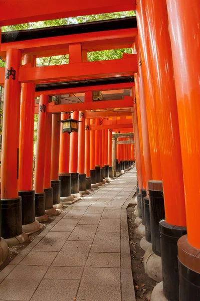 Fushimi Inari — Foto de Stock