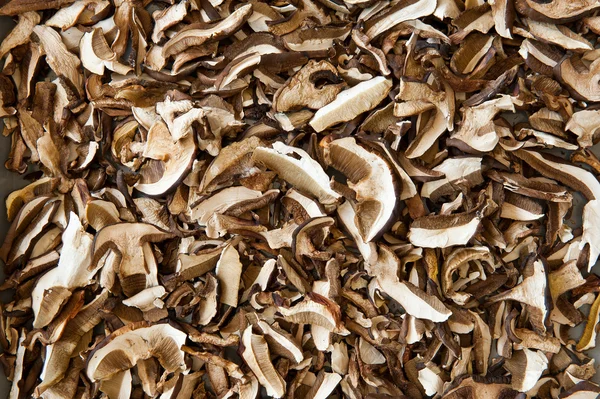 Сушені гриби — стокове фото