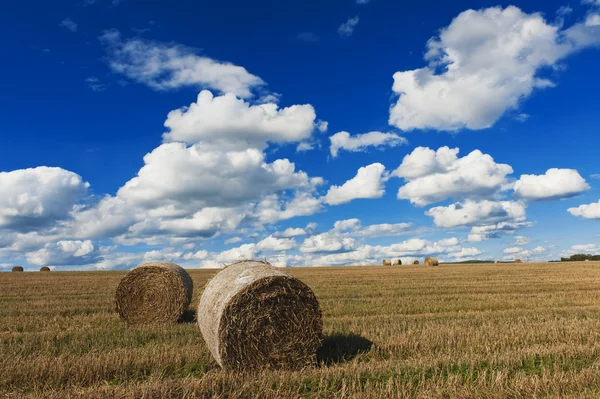 Stro roll en een blauwe hemel — Stockfoto