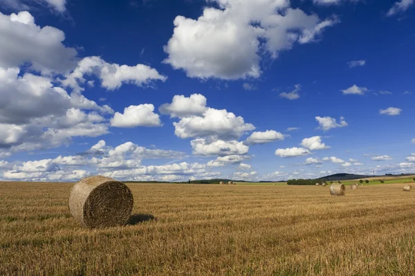 麦わらロールと青い空 — ストック写真