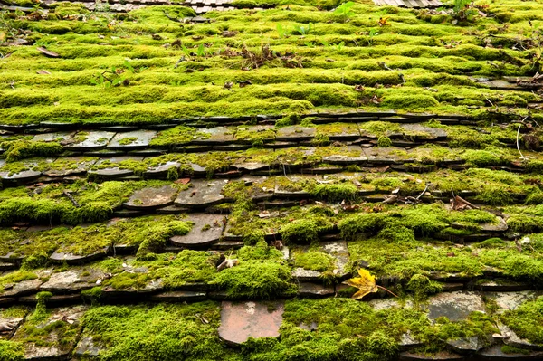 빈티지 지붕 — 스톡 사진