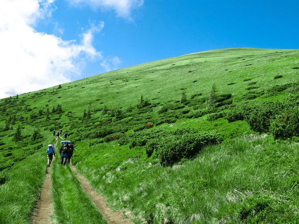 stock image Road on the hillside